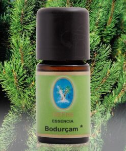 Nu-Ka Bodur Çam - Organik 10 ml