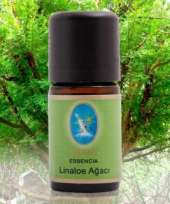 Nu-Ka Linaloe Ağacı - Geleneksel 5 ml