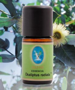 Nu-Ka Ökaliptus Radiata * - Organik 5 ml